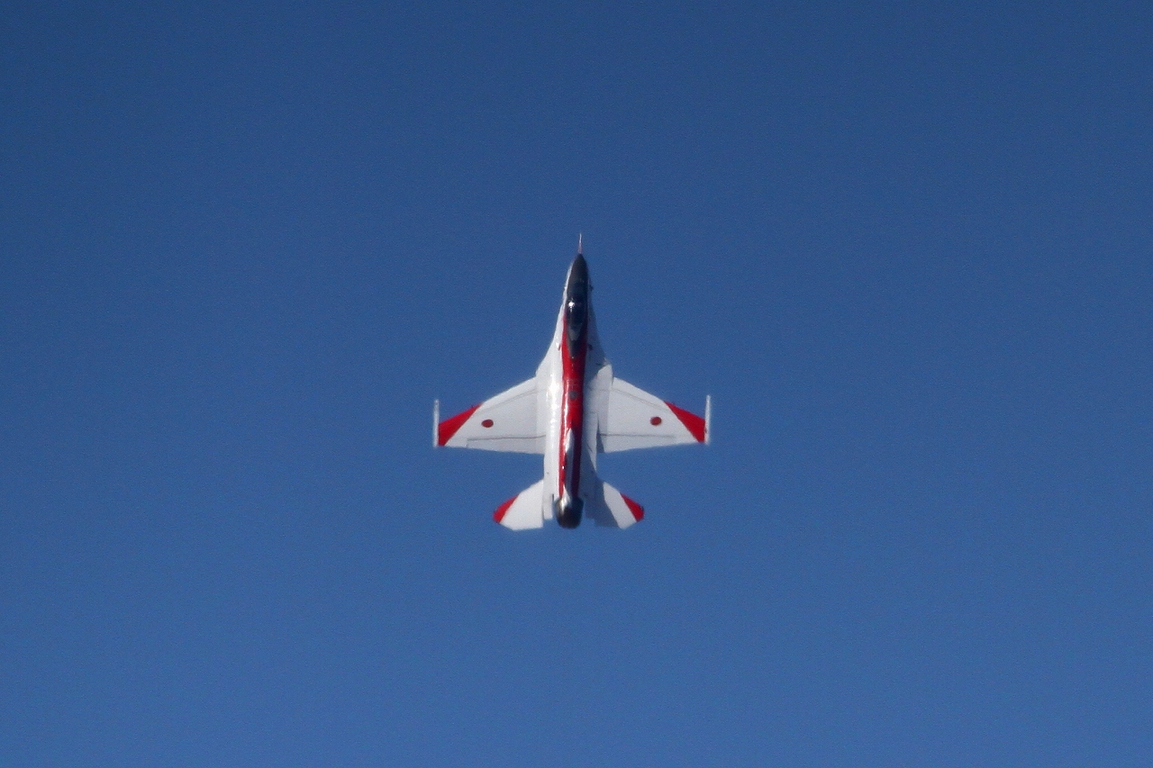 s-DPP_2100.jpg