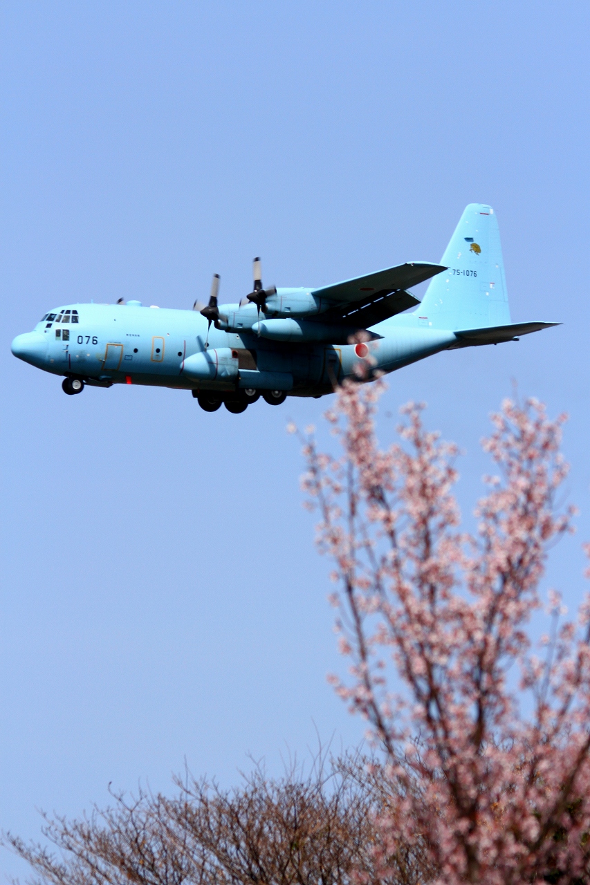 s-DPP_2115.jpg