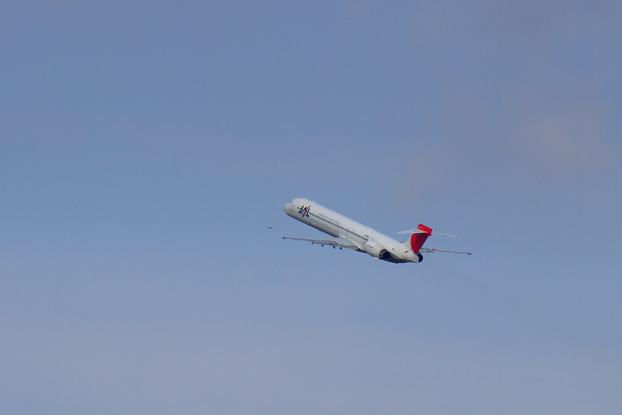 s-DPP_2236.jpg