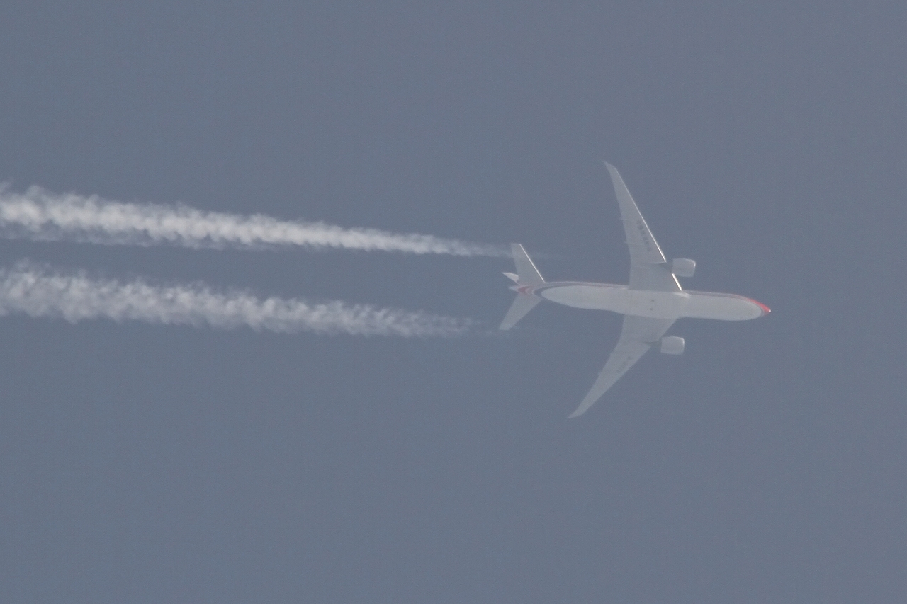 s-DPP_2437.jpg