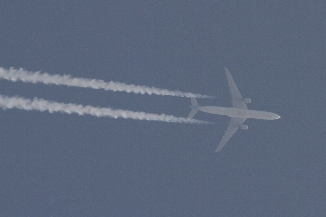 s-DPP_2440.jpg