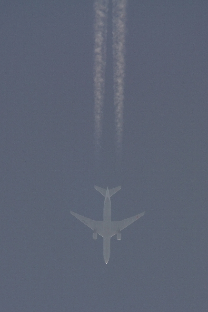 s-DPP_2443.jpg