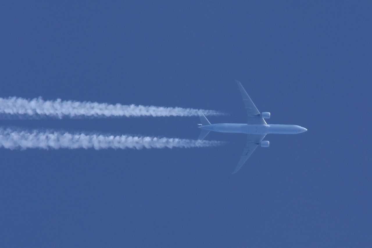 s-DPP_2444.jpg