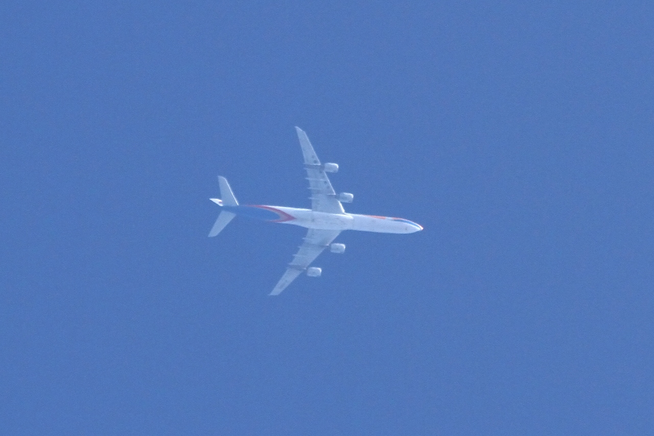 s-DPP_2446.jpg