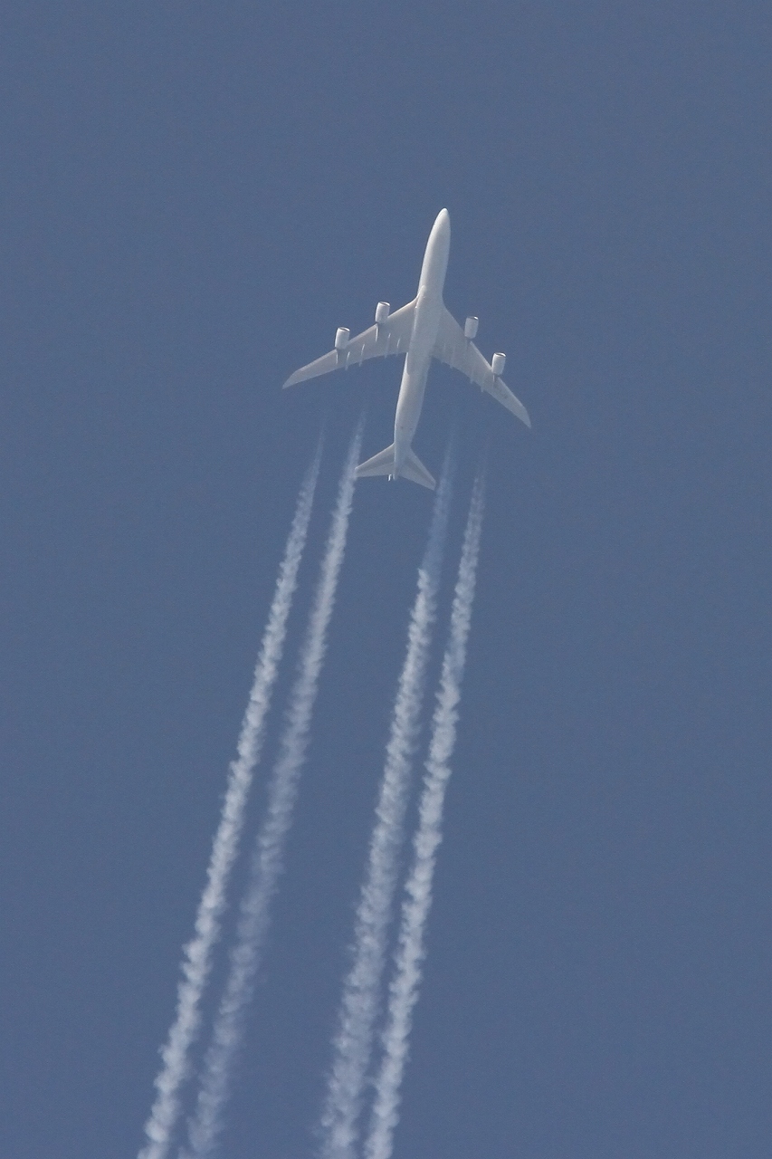 s-DPP_2451.jpg