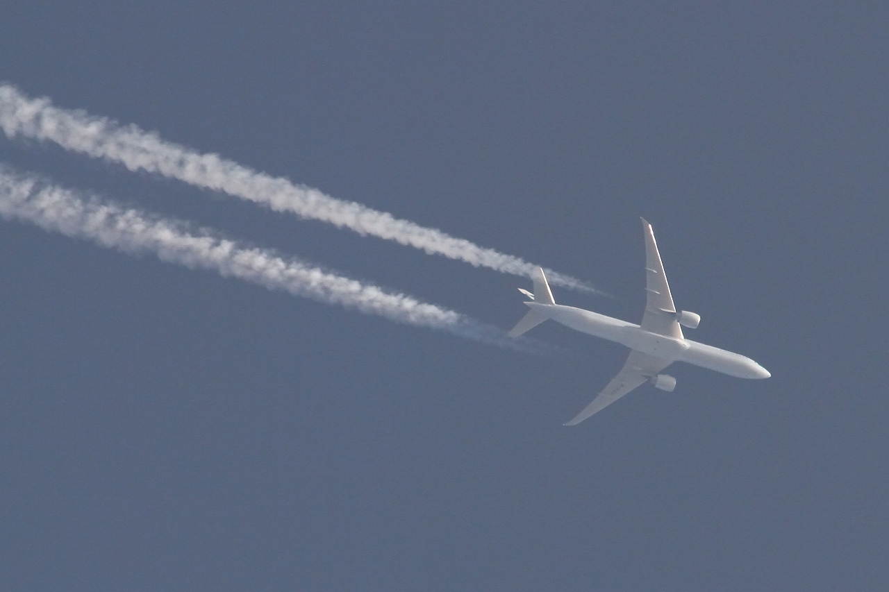 s-DPP_2454.jpg