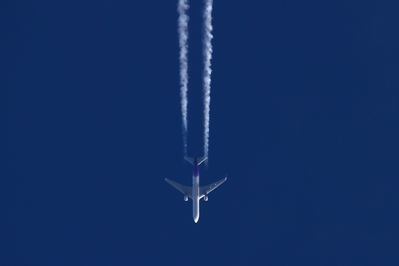 s-DPP_2500.jpg