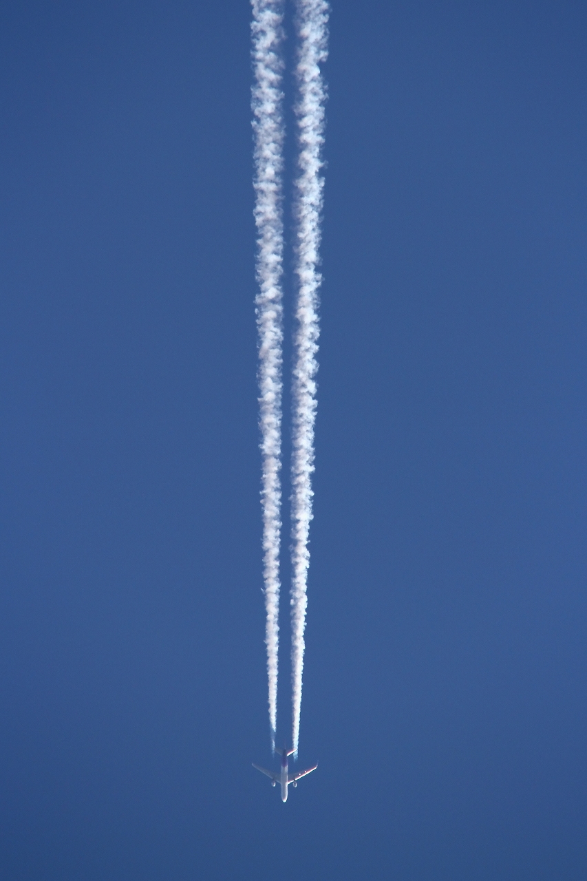 s-DPP_2501.jpg