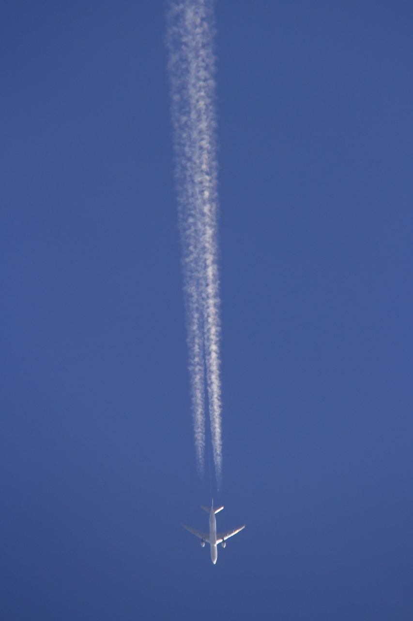 s-DPP_2503.jpg