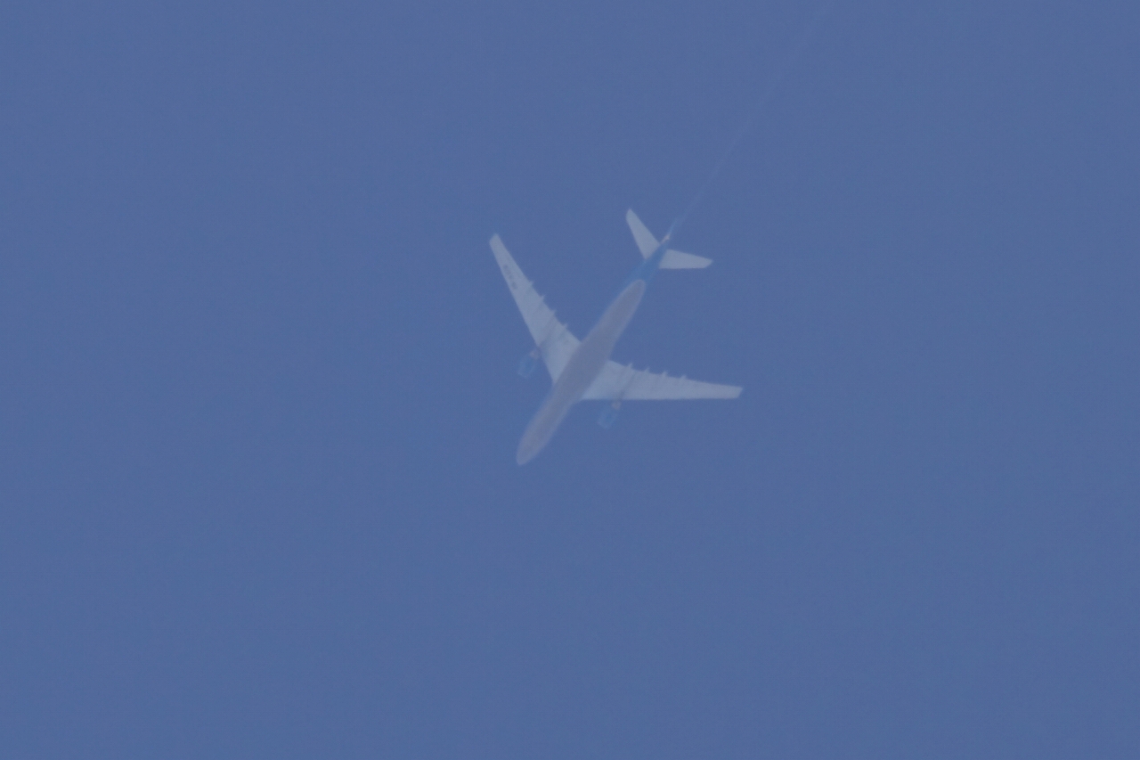 s-DPP_2504.jpg