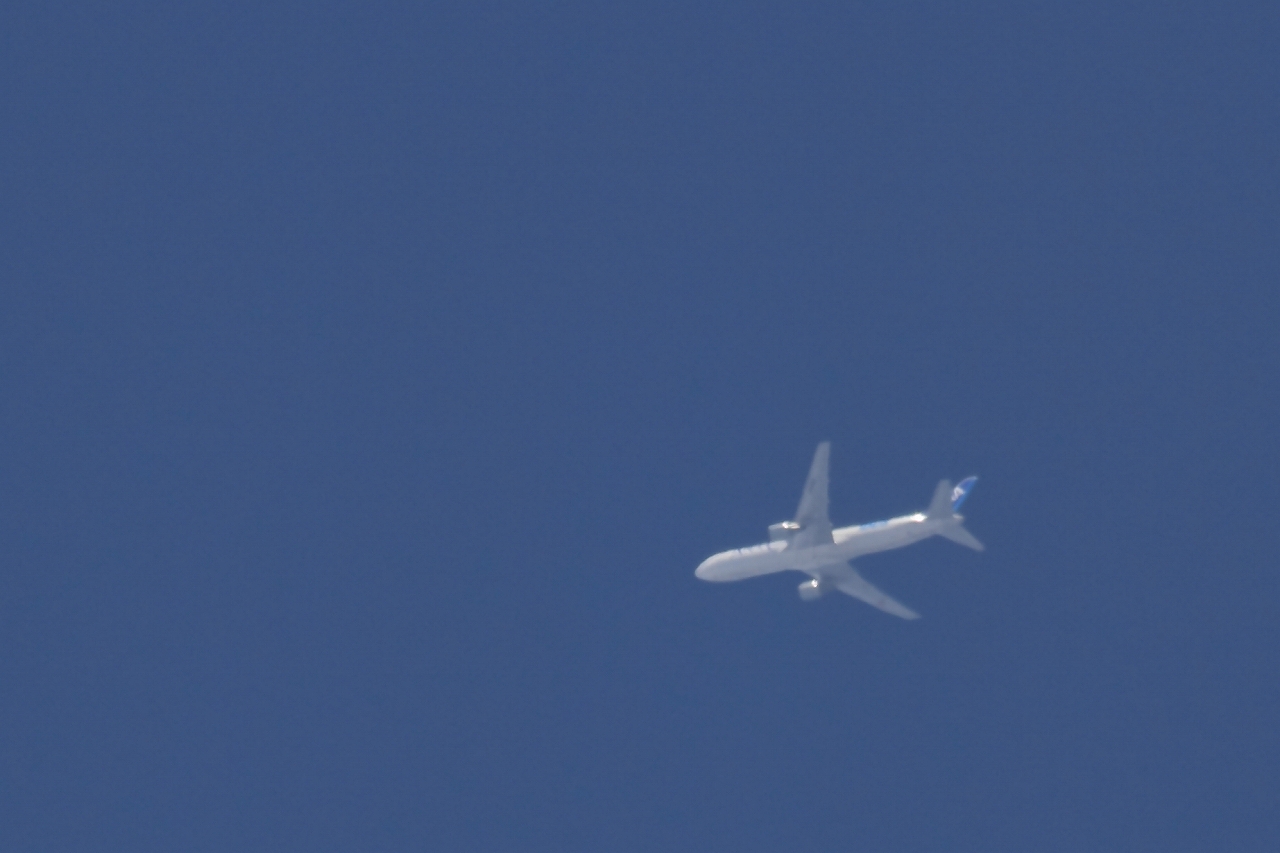 s-DPP_2505.jpg