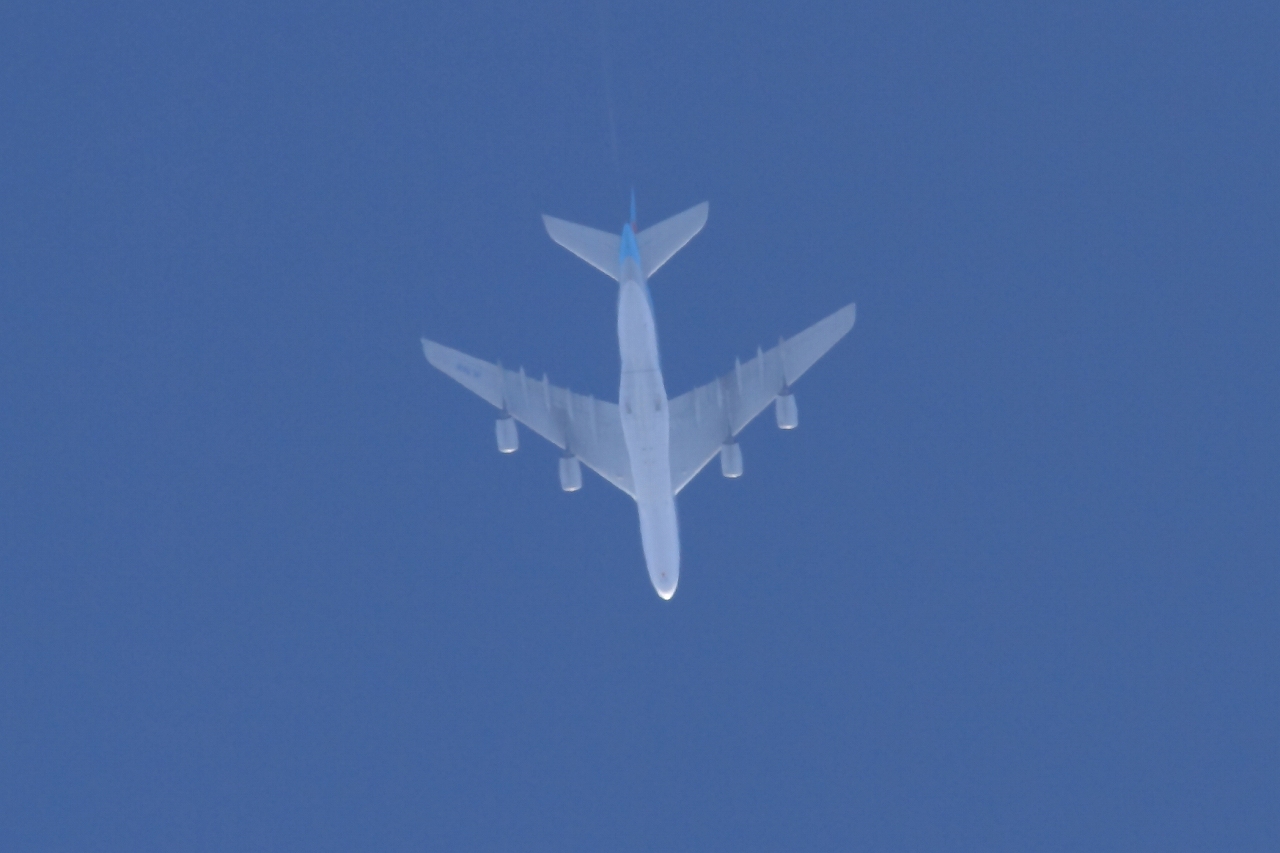 s-DPP_2506.jpg