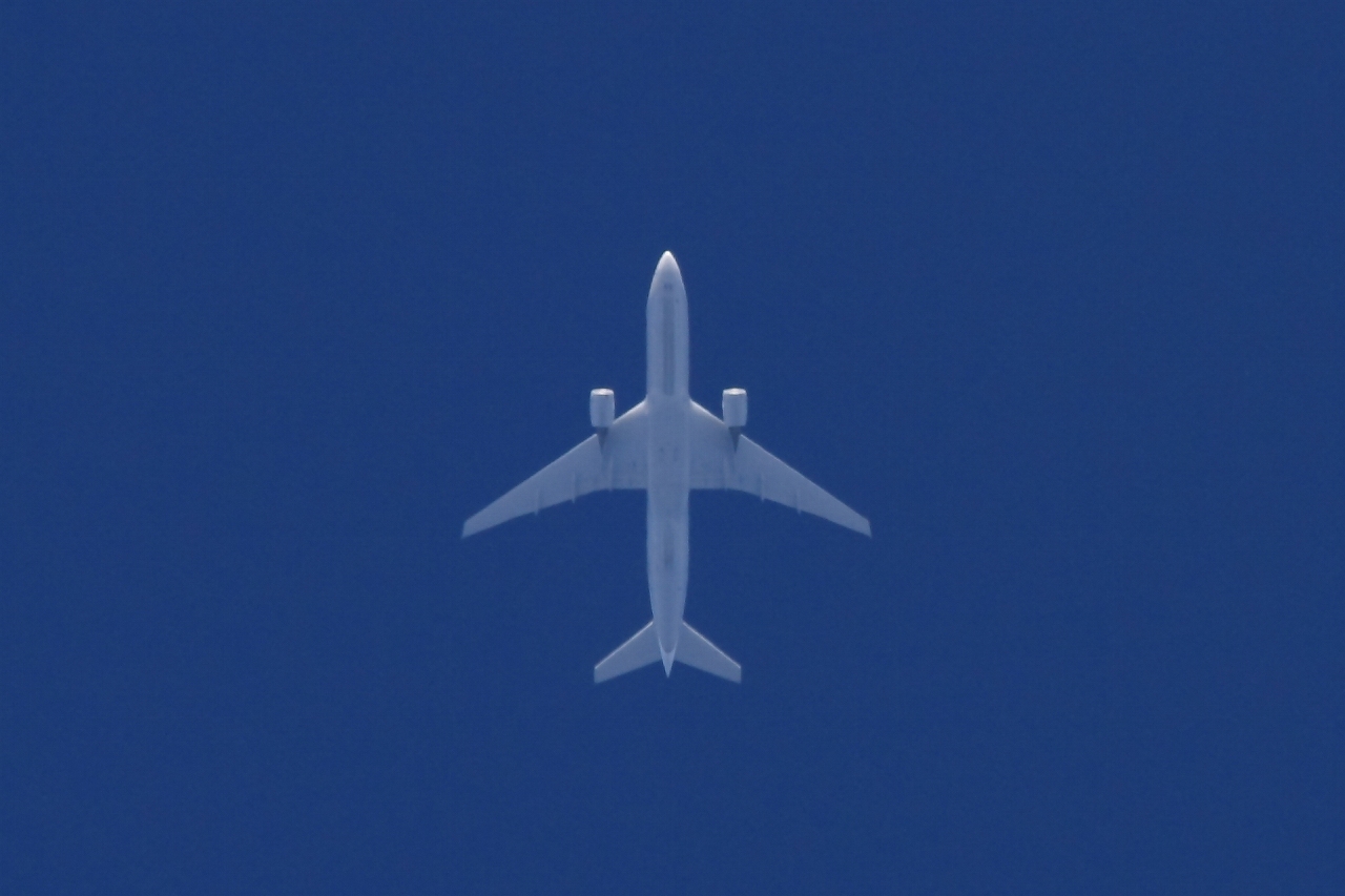 s-DPP_2507.jpg