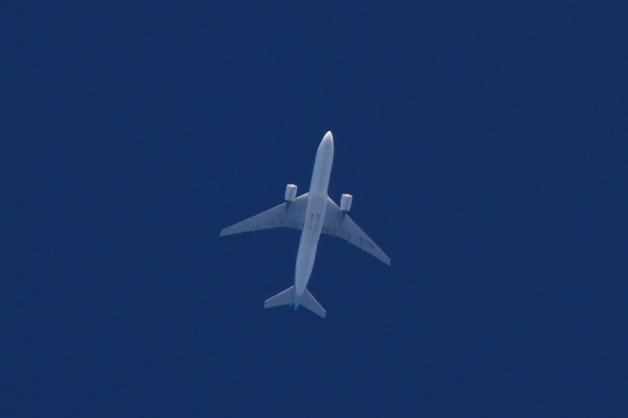 s-DPP_2508.jpg