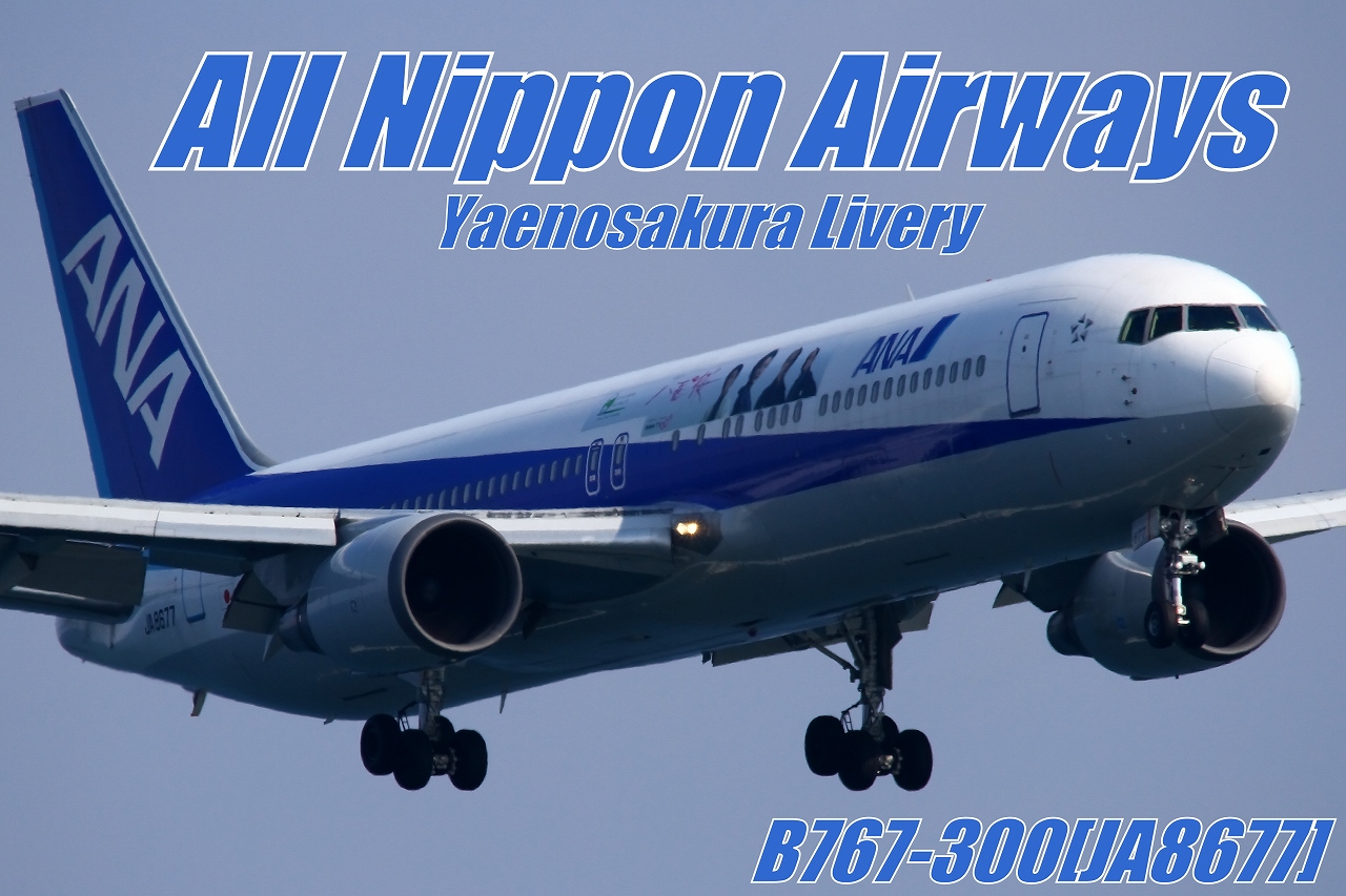 s-DPP_25583.jpg
