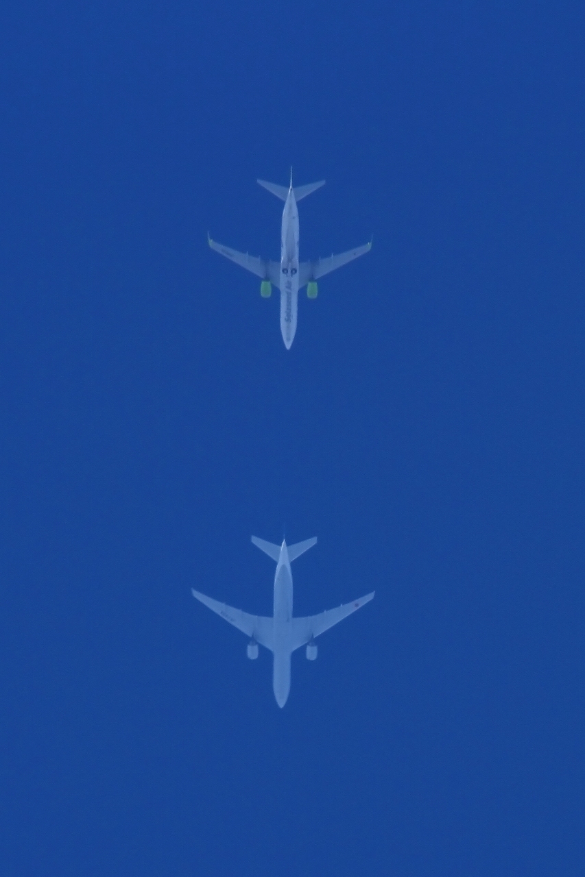 s-DPP_2572.jpg
