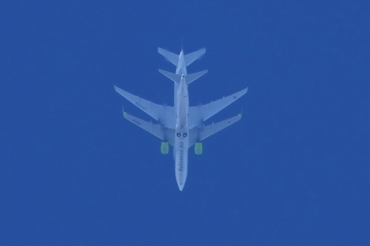 s-DPP_2574.jpg