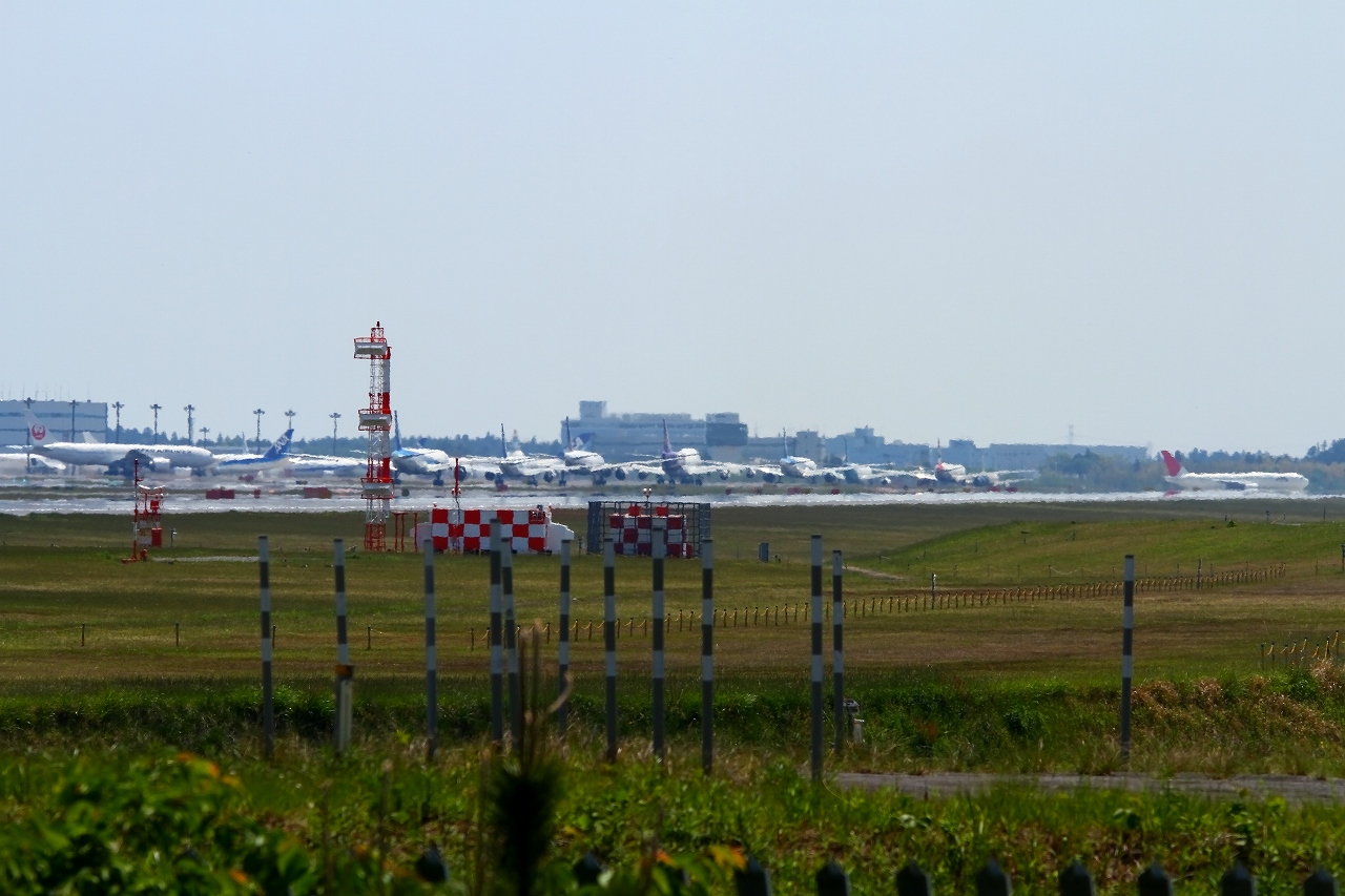 s-DPP_2578.jpg