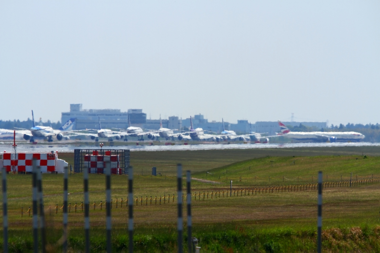 s-DPP_2579.jpg