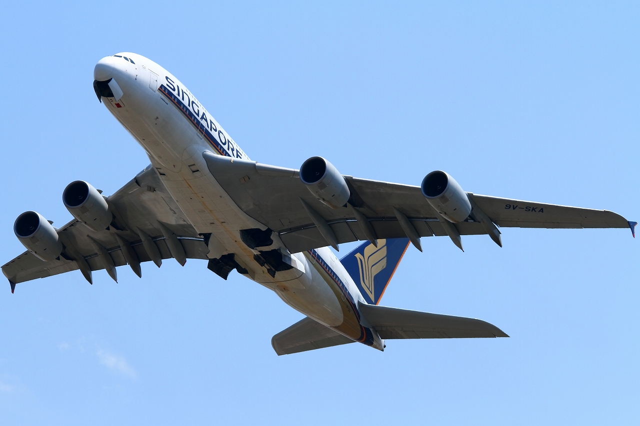 s-DPP_2582.jpg