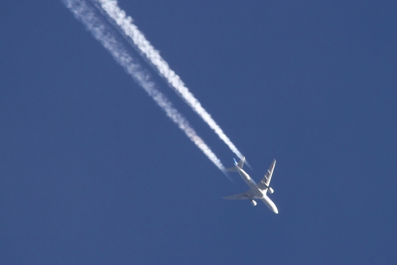 s-DPP_2613.jpg