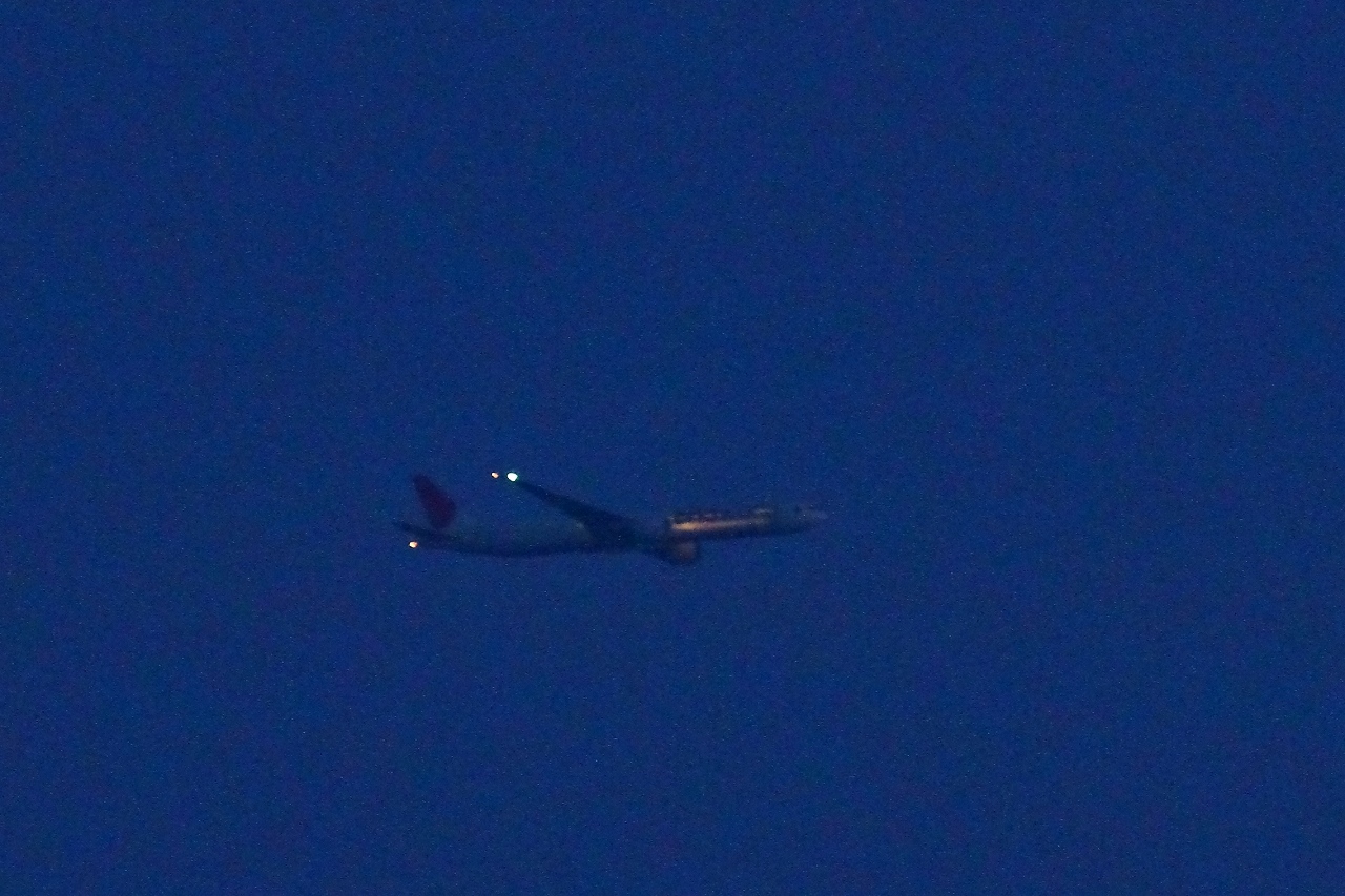 s-DPP_2614.jpg