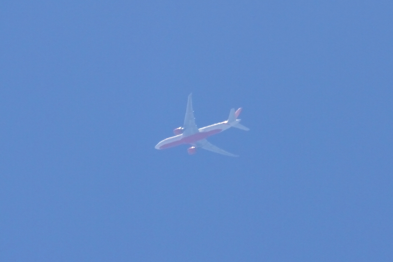 s-DPP_2616.jpg