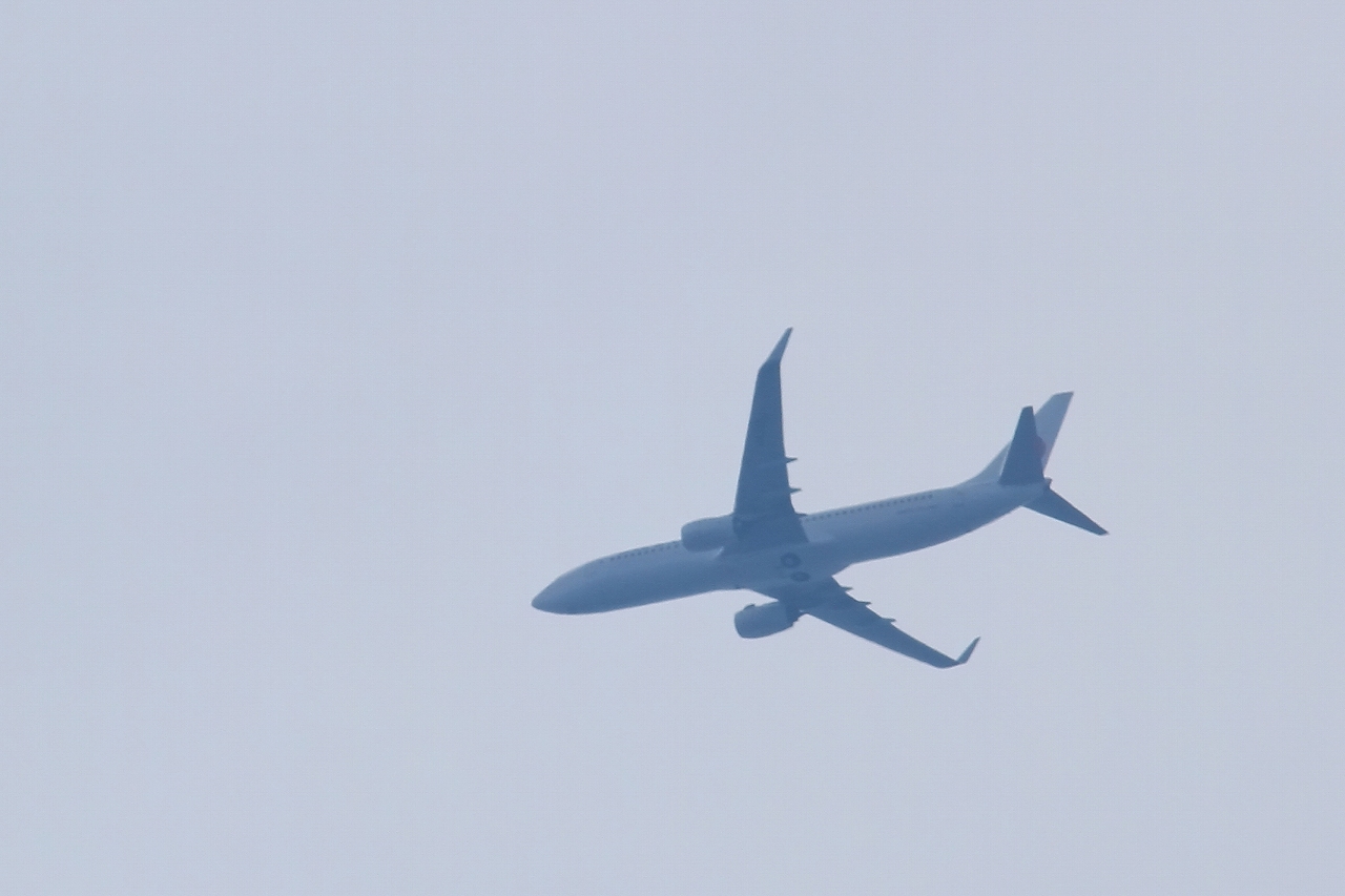 s-DPP_2617.jpg
