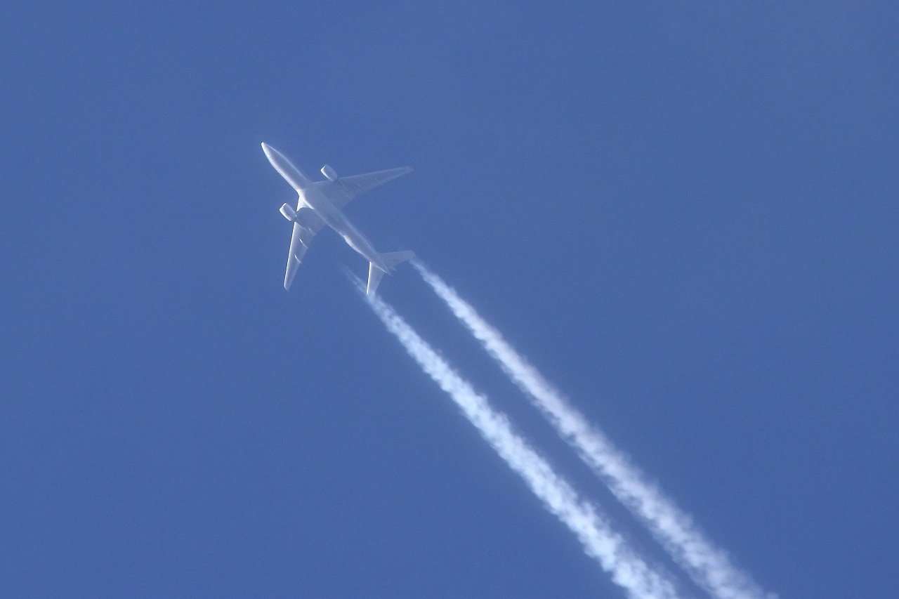 s-DPP_2618.jpg