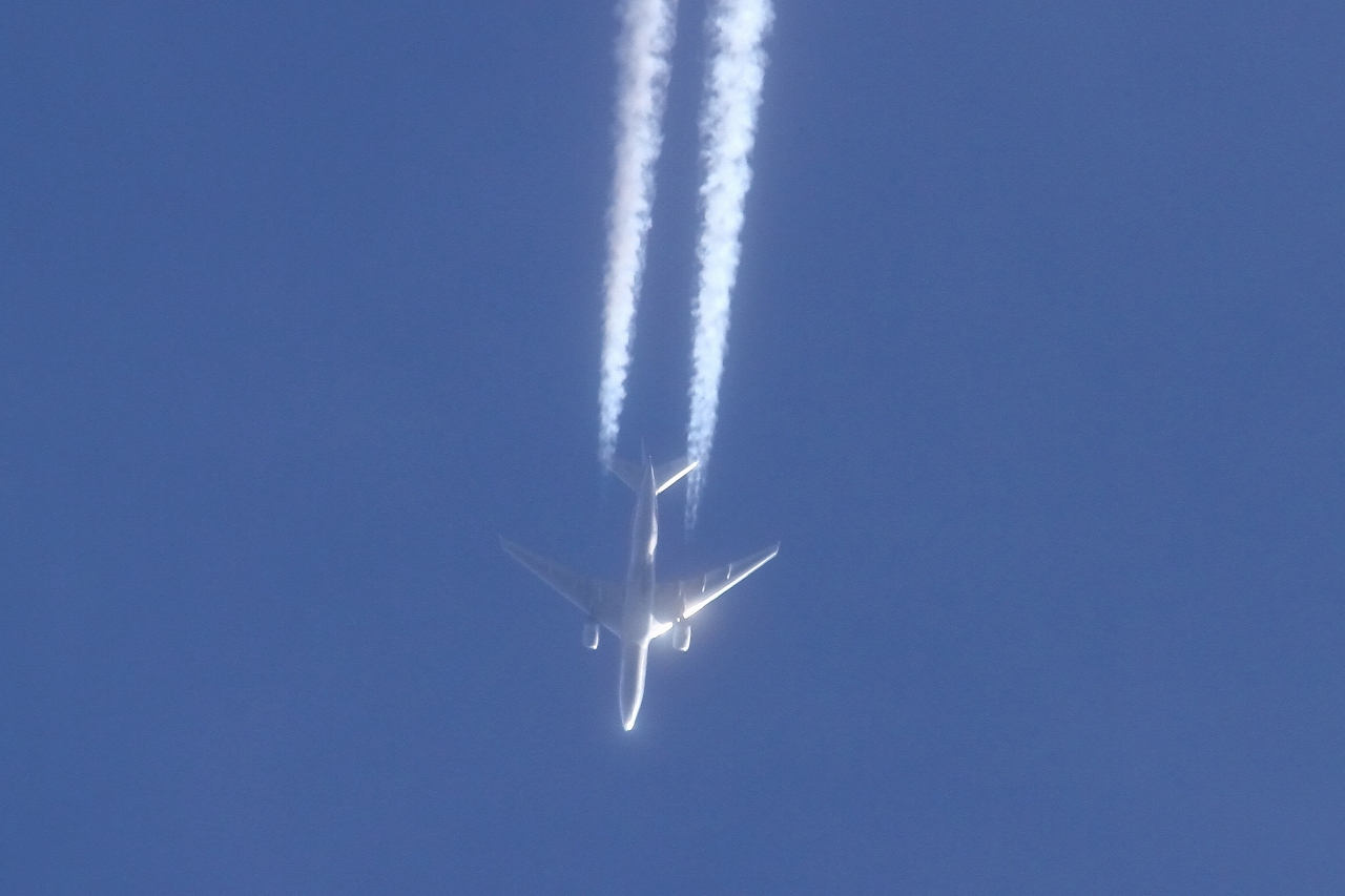 s-DPP_2619.jpg