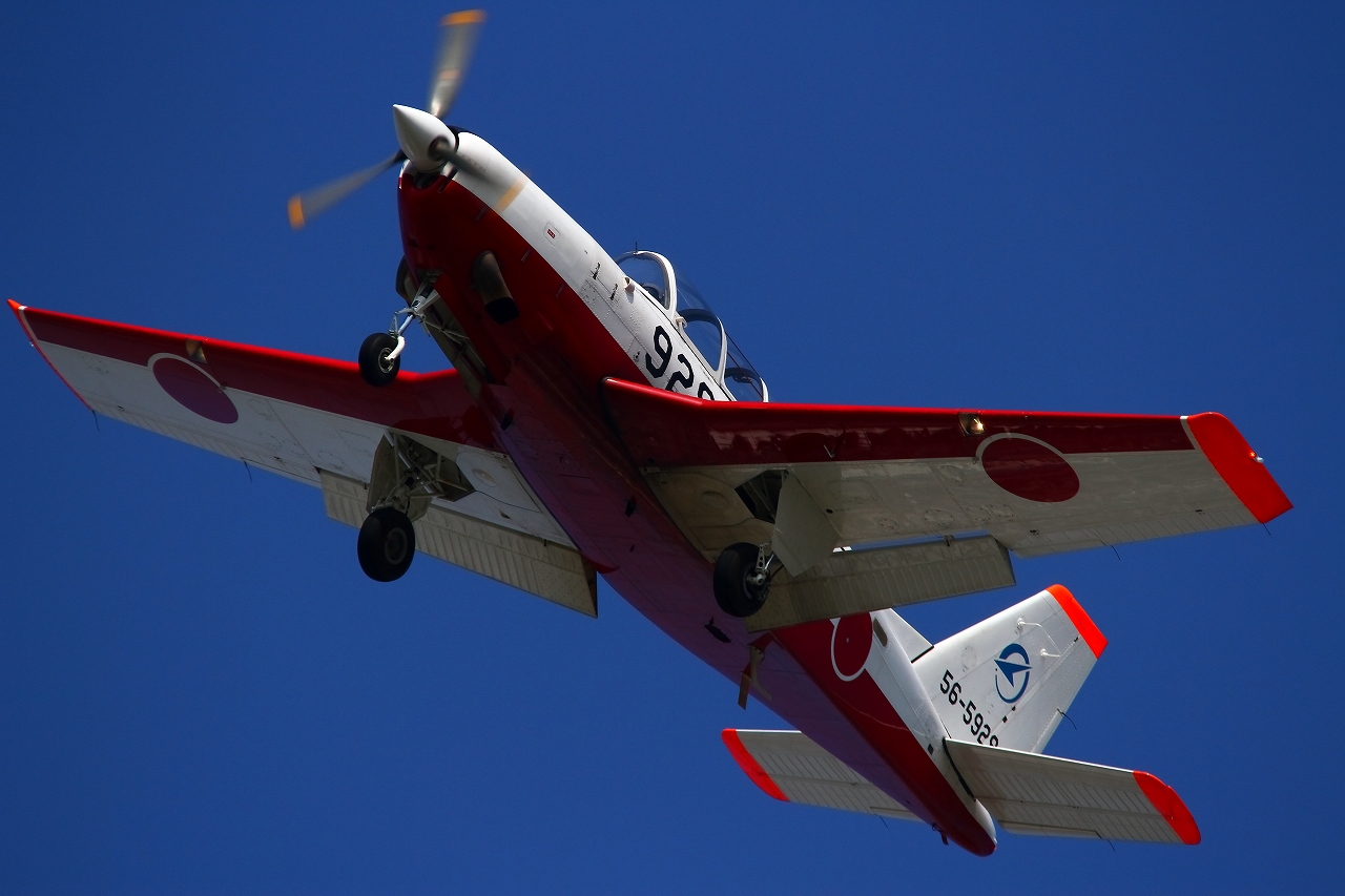 s-DPP_2631.jpg