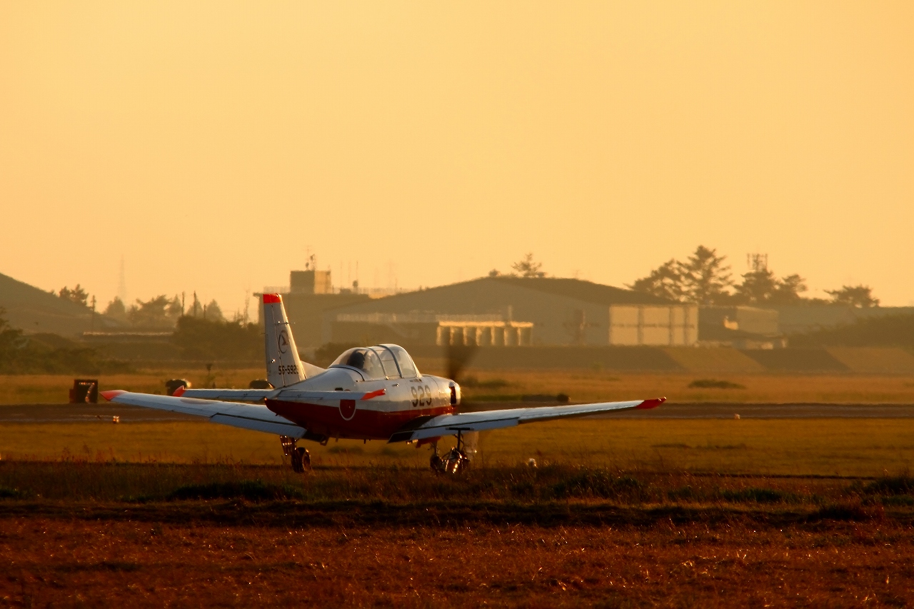s-DPP_2669.jpg
