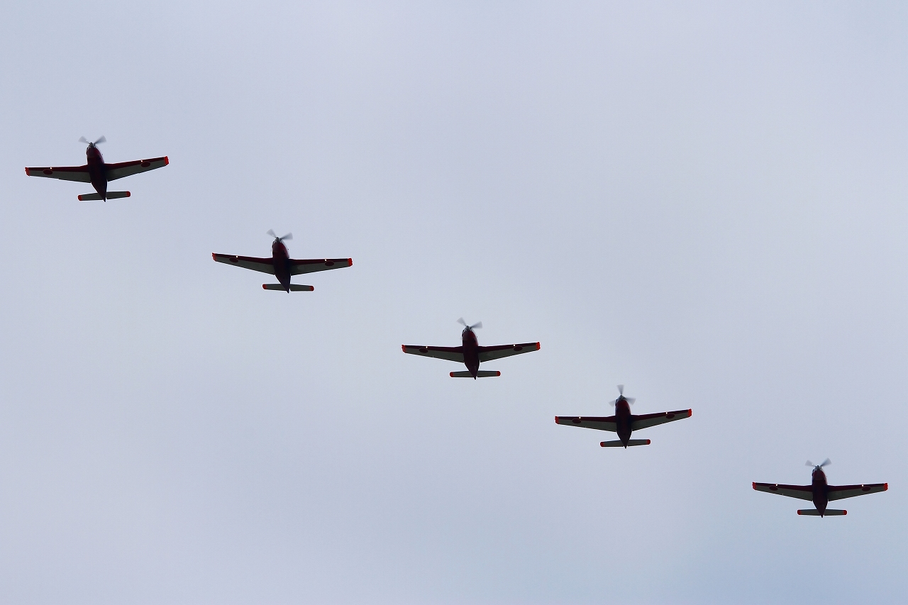 s-DPP_2795.jpg