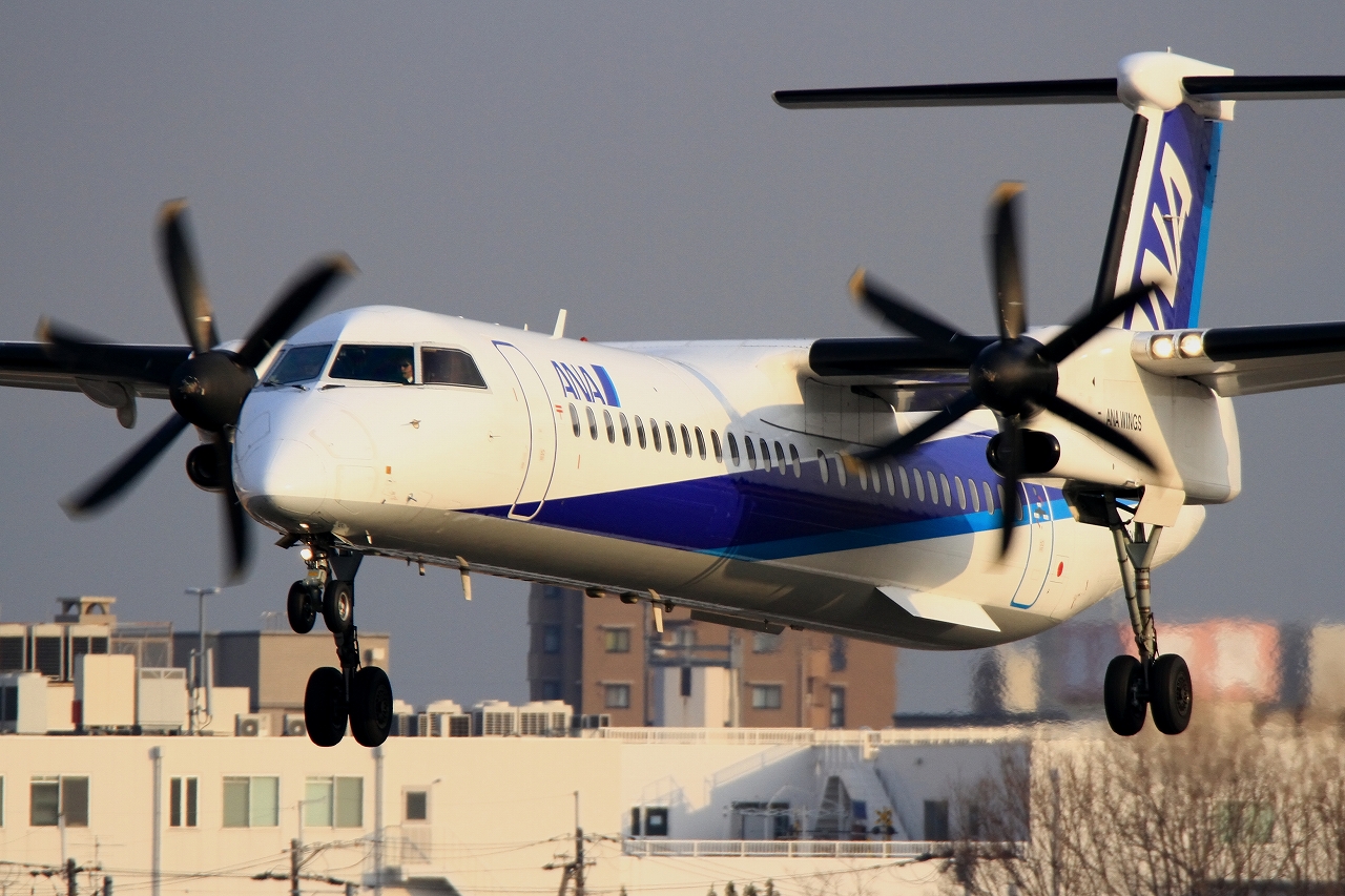 s-DPP_5061.jpg