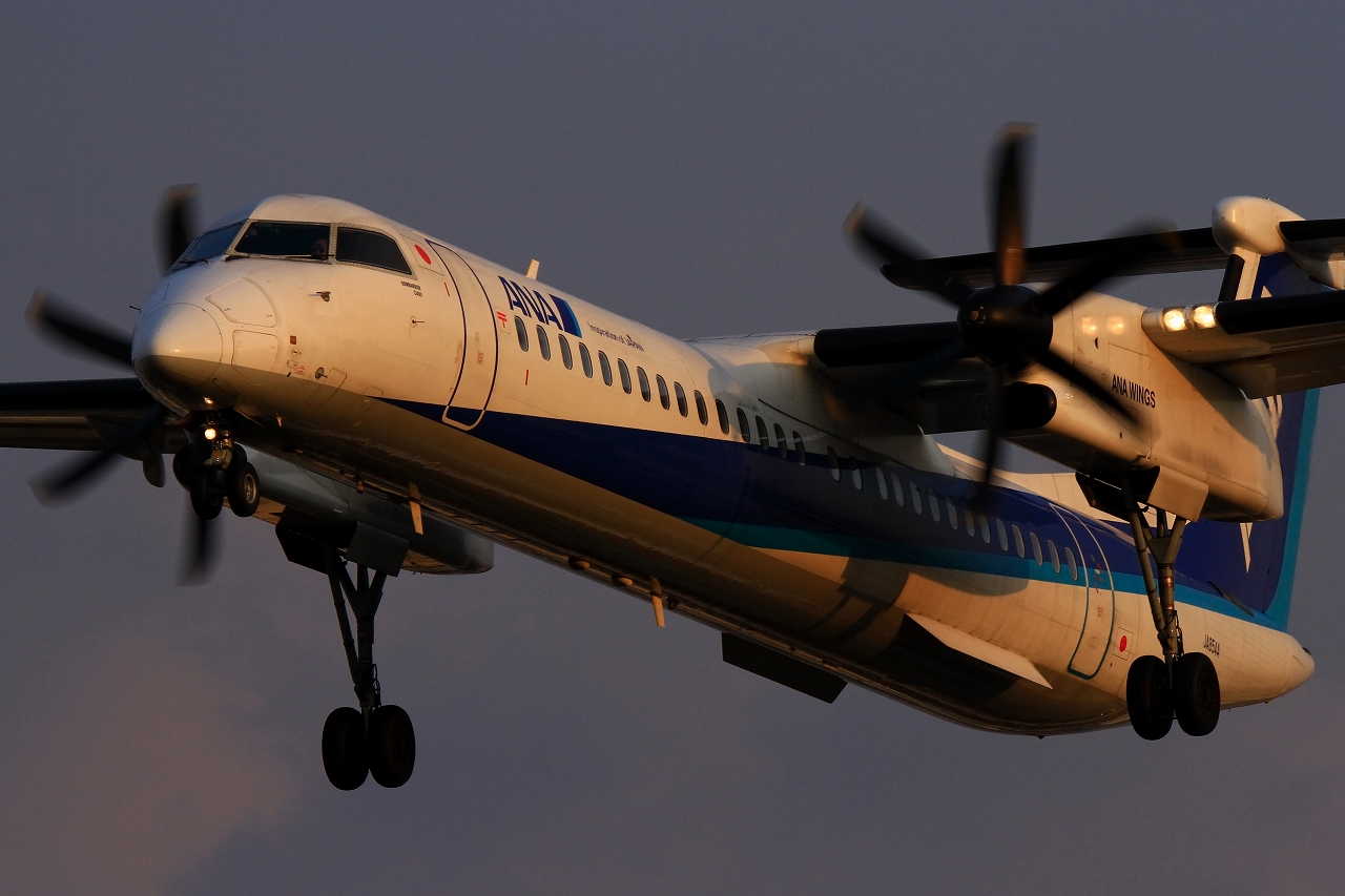 s-DPP_5147.jpg