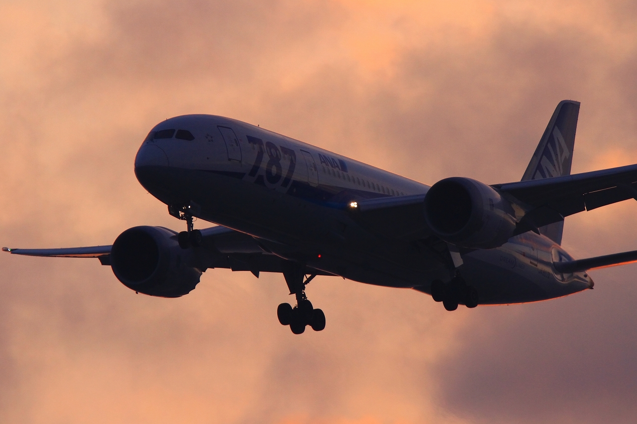 s-DPP_5166.jpg