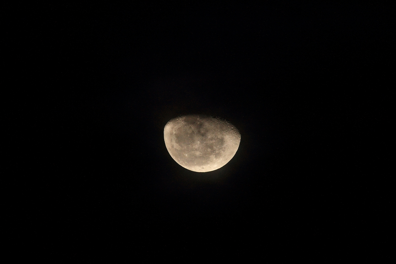 s-s-DPP_0798.jpg