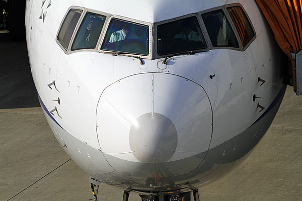 ANA B767-300 JA8567