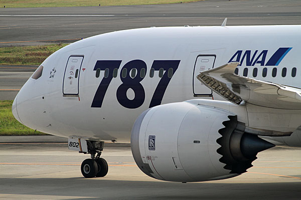 ANA B787-8 JA802A