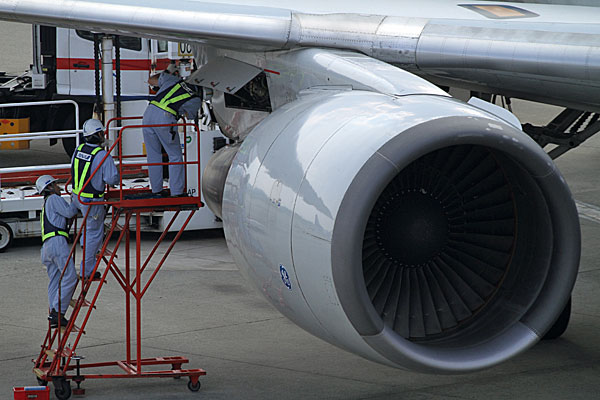ANA B767-300 JA8256