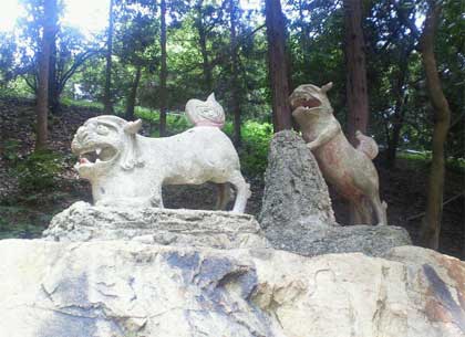 20120723_nakatomiitate_003.jpg