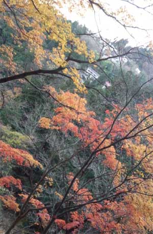 20141129_m_mitake_029.jpg
