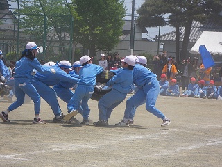 IMGP0225.jpg
