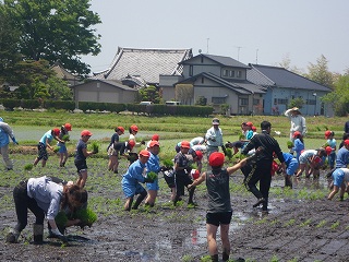 IMGP0241.jpg