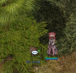 kangoshi08.jpg