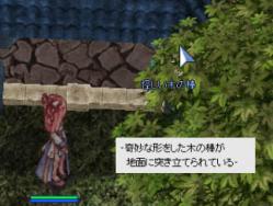kangoshi10.jpg