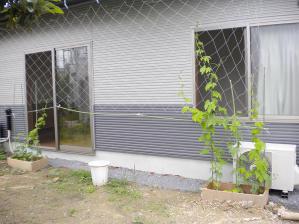 DSCN0609.jpg