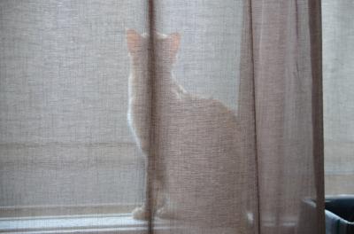 vivi20120930a.jpg