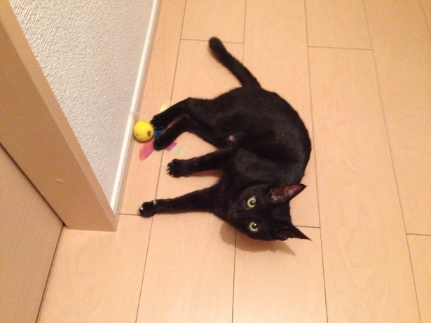 photo (5)