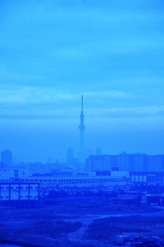 DSC_0215.jpg